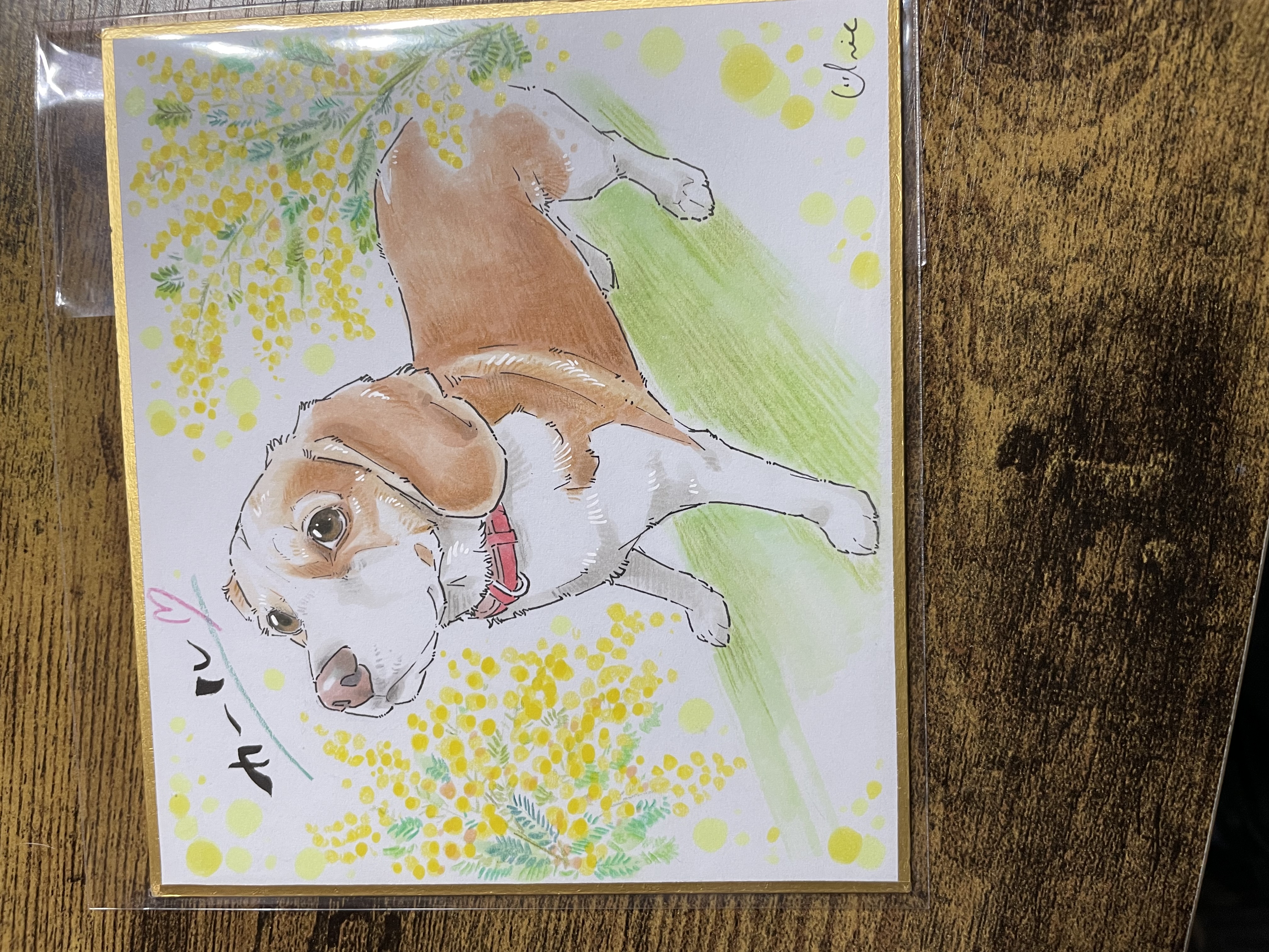 愛犬のイラストを描いていただきました！ 画像