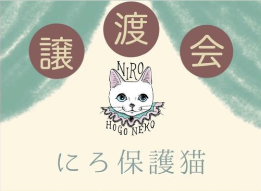 保護猫譲渡会＆フリーマーケット開催します🐱 アイキャッチ画像