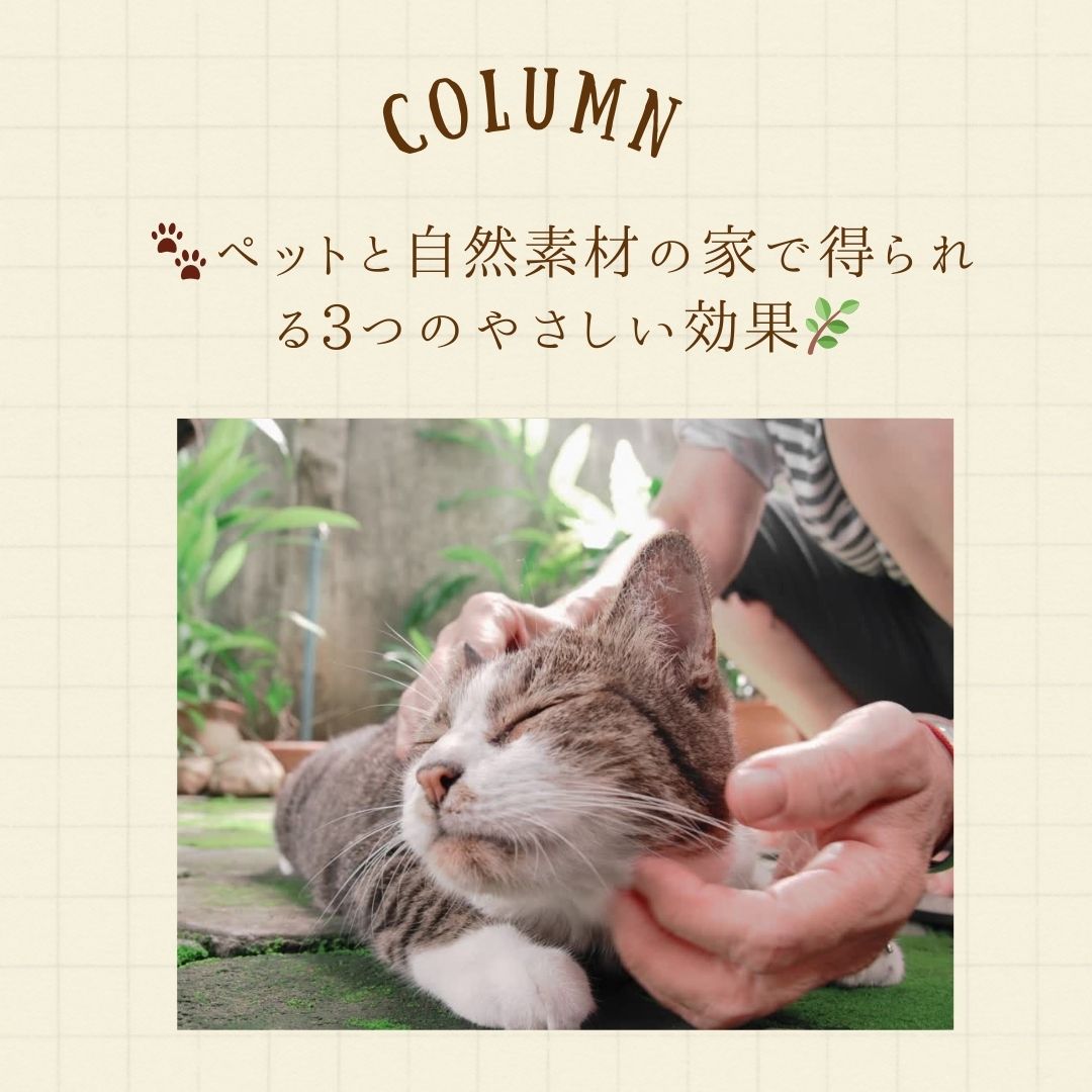ペットと自然素材の家で得られる３つのやさしい効果。 アイキャッチ画像