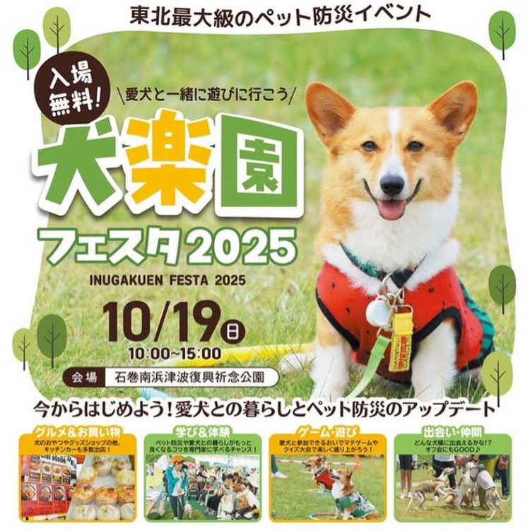 犬楽園フェスタ2025に参加します！ アイキャッチ画像