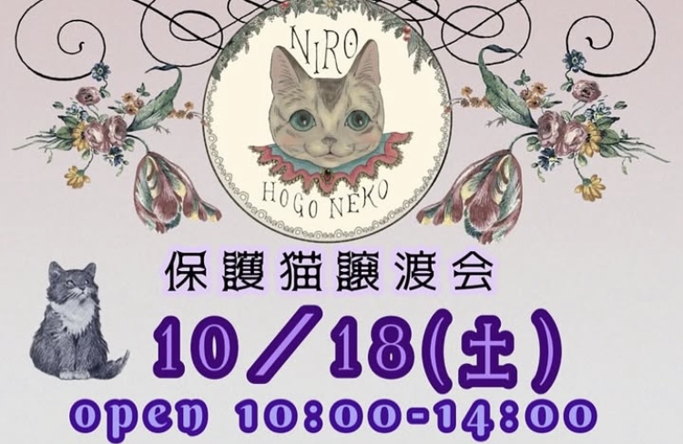 にろ保護猫譲渡会＆ワークショップ＆マルシェ アイキャッチ画像