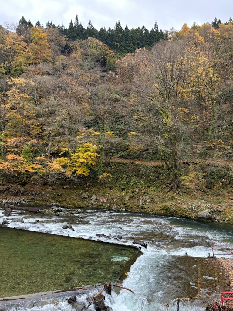 ドライブ♪ 画像