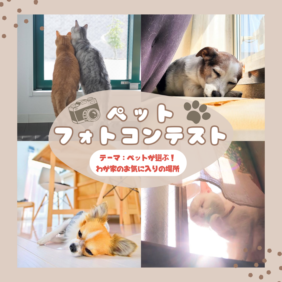ペットフォトコンテスト2026 アイキャッチ画像