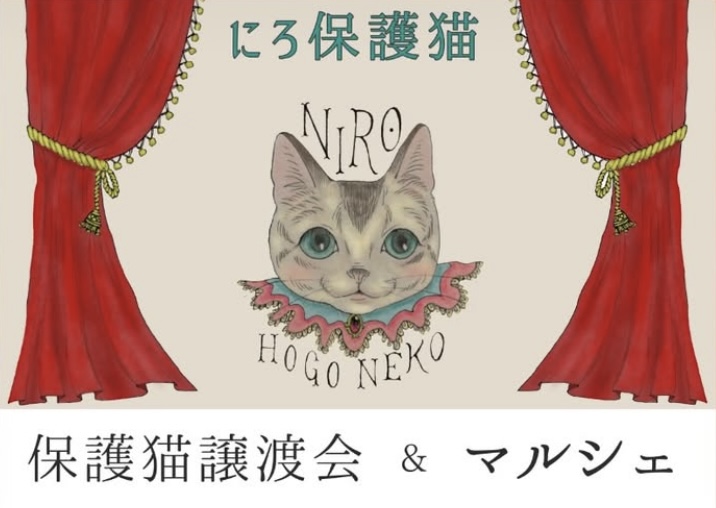 🐱保護猫譲渡会＆マルシェ🐱 画像