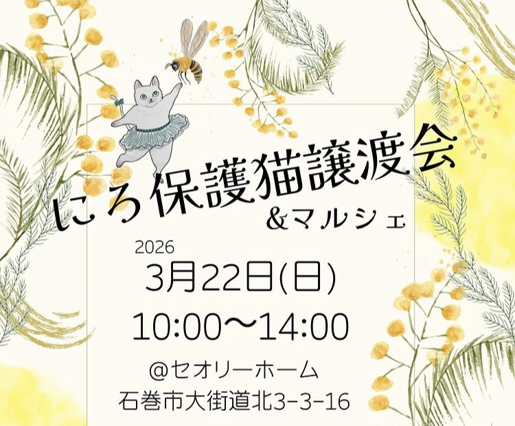 🐱保護猫譲渡会＆マルシェ🐱 アイキャッチ画像