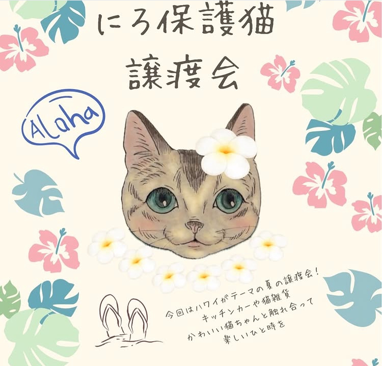 🐱保護猫譲渡会🐱 アイキャッチ画像